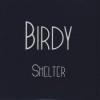 Shelter - Birdy