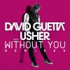 Without You - David Guetta