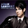 Whataya Want From Me - Adam Lambert