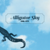 Alligator Sky - Owl City