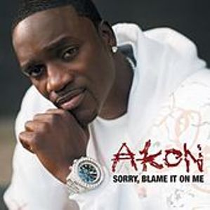 Sorry, Blame It On Me - Akon