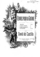 Dans Les Nuages Fantaisie - David Del Castillo