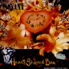 Heart Shaped Box - Nirvana