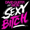 Sexy Bitch - David Guetta