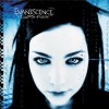 Taking Over Me - Evanescence