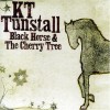 Black Horse and the Cherry Tree - KT Tunstall