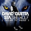 She Wolf - David Guetta