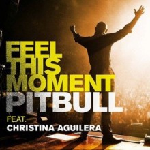 Feel This Moment - Pitbull