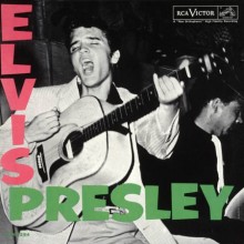 I Love You Because - Elvis Presley