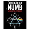 Comfortably Numb - Pink Floyd