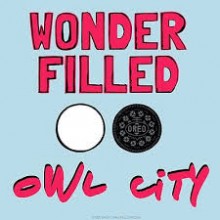 Wonderfilled - Owl City