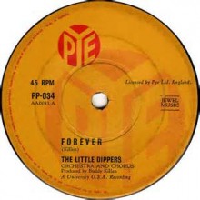 Forever - The Little Dippers