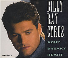 Achy Breaky Heart - Billy Ray Cyrus