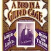 A Bird In A Gilded Cage - Harry Von Tilzer